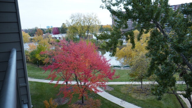 75 Kristin Cir in Schaumburg, IL - Building Photo - Building Photo