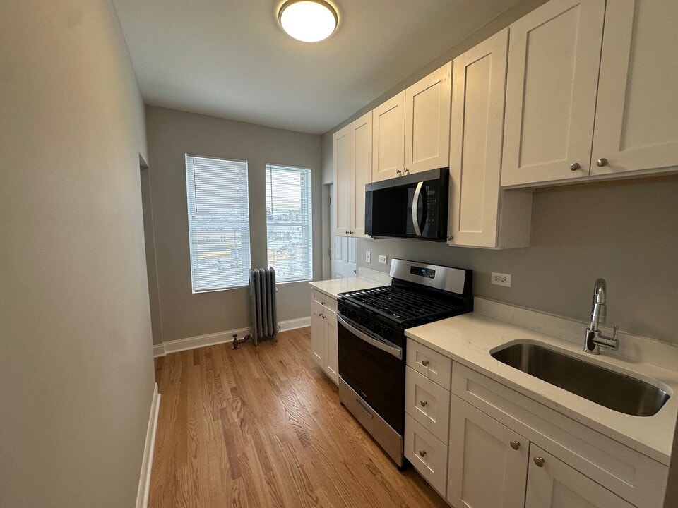 1507 W Schreiber Ave, Unit 3 in Chicago, IL - Foto de edificio