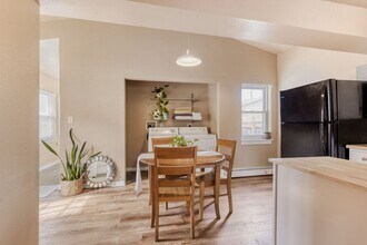 4739 Pearl St in Denver, CO - Building Photo - Building Photo