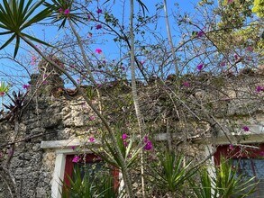 8238 NE 9th Ave in Miami, FL - Building Photo - Building Photo