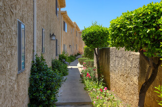 Casa Violin Canyon Apartments in Castaic, CA - Building Photo - Building Photo