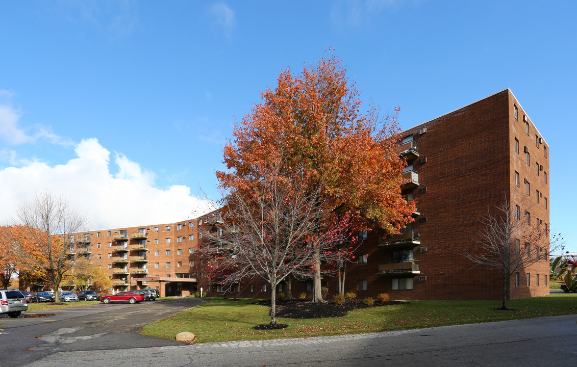 Chestnut Lake in Strongsville, OH - Foto de edificio