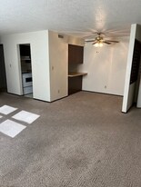 555 Roddy Rd in Salem, IL - Building Photo