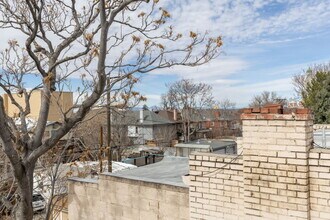 1427 Clayton St, Unit The Treehouse in Denver, CO - Building Photo - Building Photo
