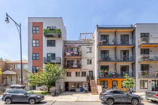 47 Cedar St in Brooklyn, NY - Building Photo