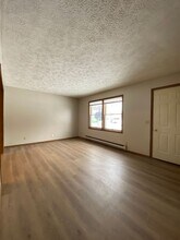 208 S Spring St in Wakarusa, IN - Building Photo - Building Photo