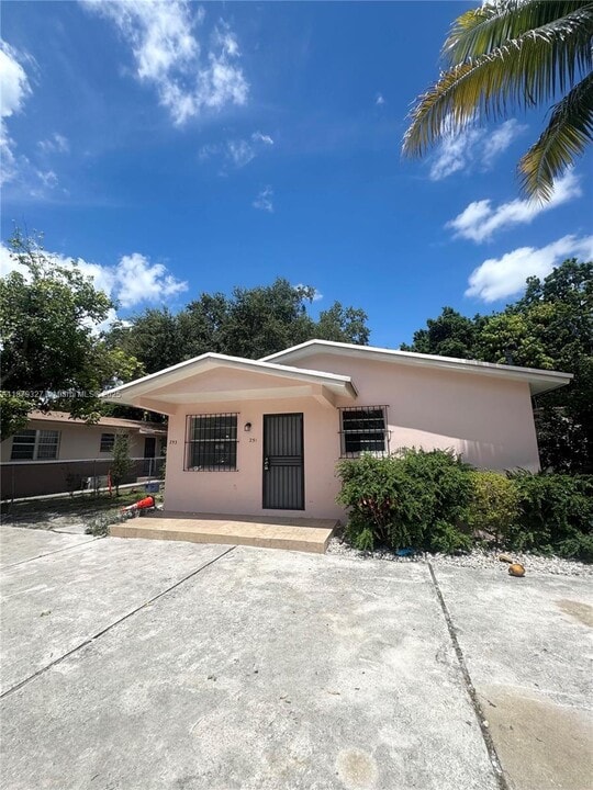 251 NW 52nd St in Miami, FL - Building Photo