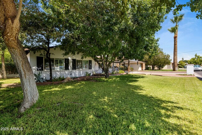 6540 N 16th Pl in Phoenix, AZ - Building Photo - Building Photo