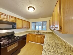 423 Springfield St in Park Forest, IL - Building Photo - Building Photo