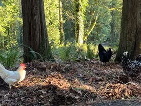 1220 Carroll Rd, Unit Apartment. in Kelso, WA - Building Photo