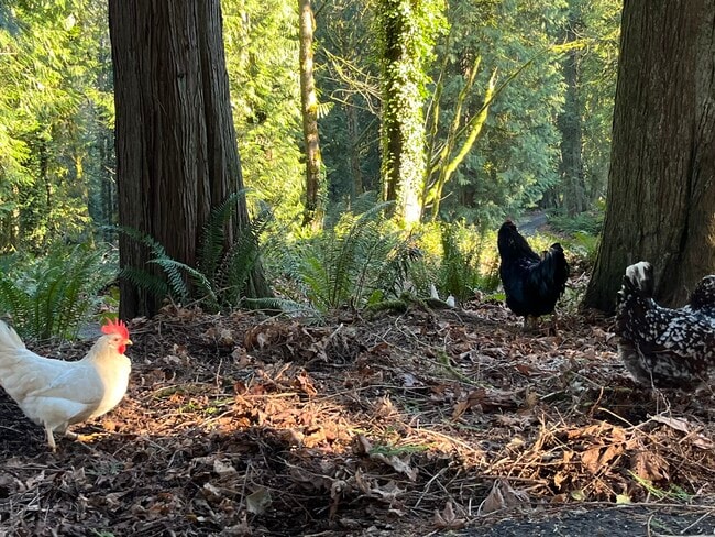 1220 Carroll Rd, Unit Apartment.