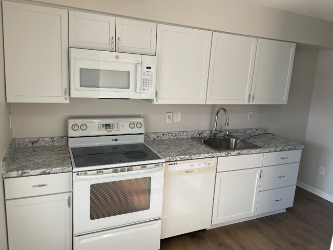 438 Red Tulip Ct in Taneytown, MD - Building Photo - Building Photo