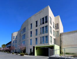 Pacific Cannery Lofts Apartments