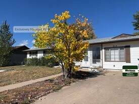 212 Grape Dr in Colorado Springs, CO - Building Photo