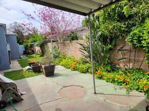 12019 Ocean Park Blvd, Unit 12019 in Los Angeles, CA - Building Photo - Building Photo