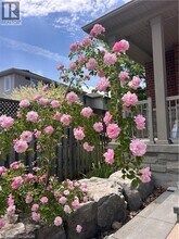 145 Redtail St in Kitchener, ON - Building Photo - Building Photo
