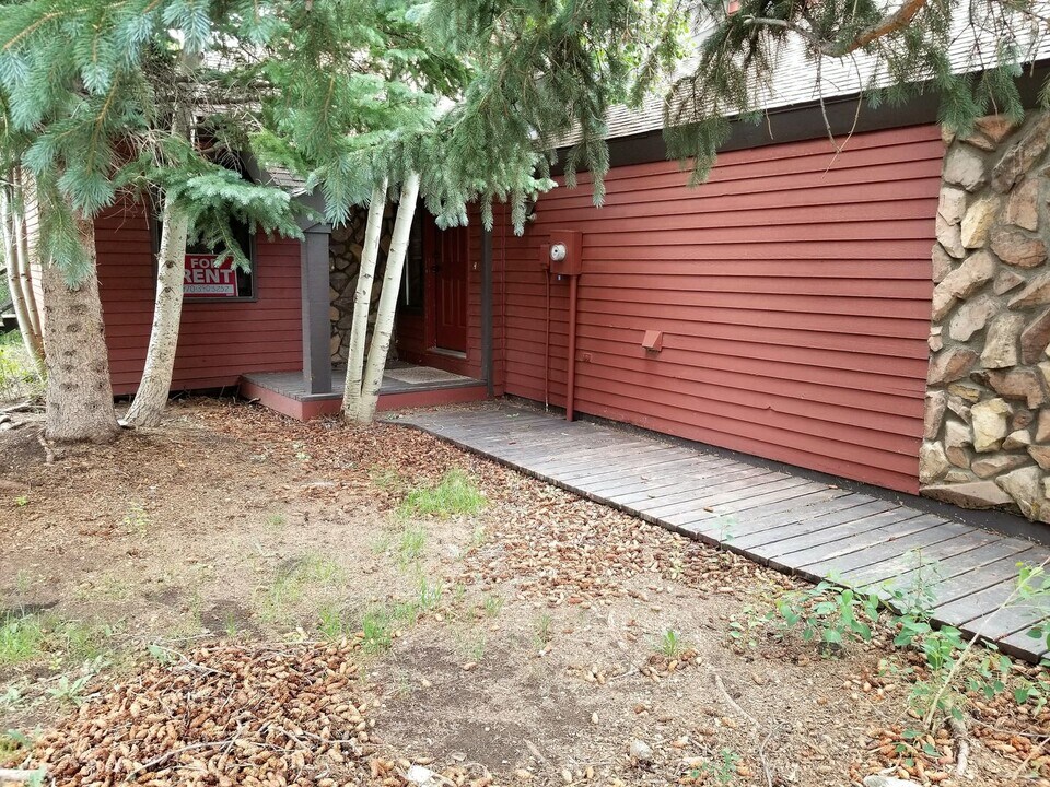 300 Miners Creek Rd in Frisco, CO - Building Photo