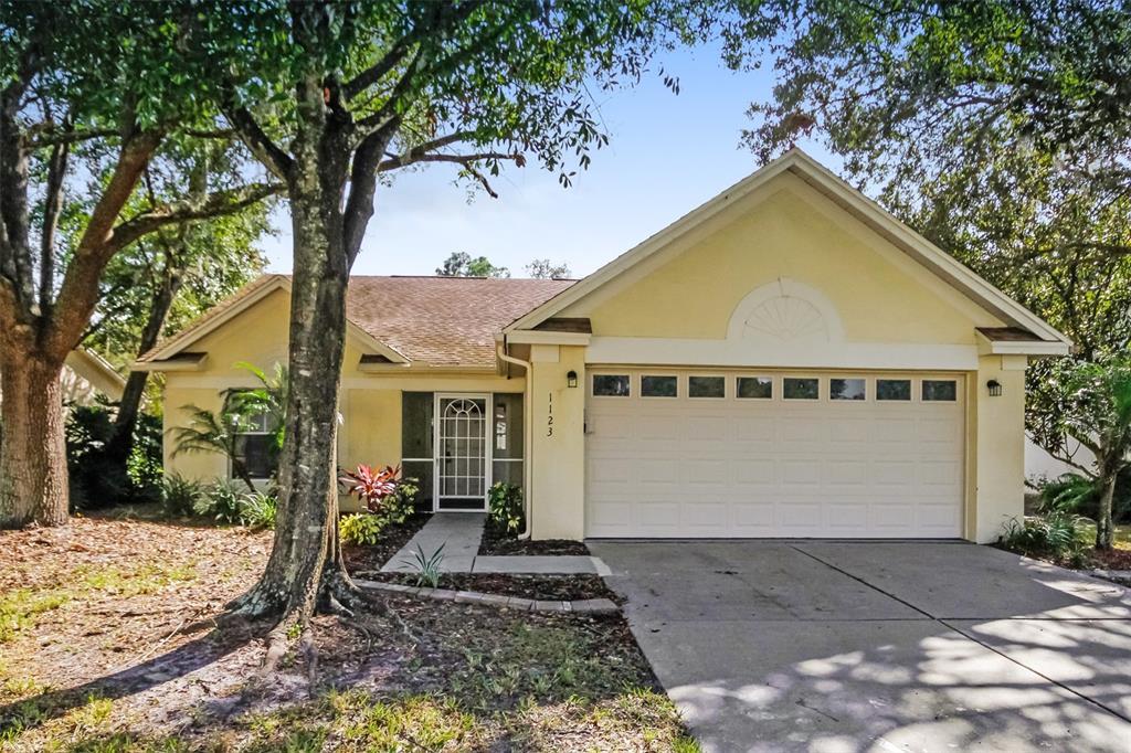 1123 Bloom Hill Ave in Valrico, FL - Building Photo