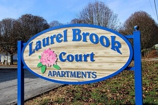 Laurel Brook Community in Johnson City, TN - Building Photo