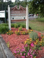 C4 Shepherd Ln in Chapel Hill, NC - Building Photo