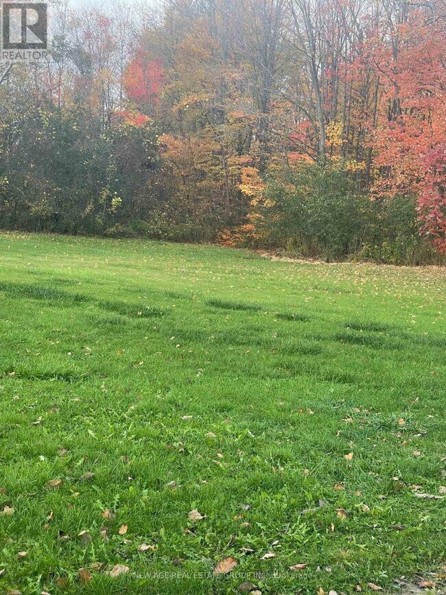 14726 Caledon King Townline S in Caledon, ON - Building Photo - Building Photo