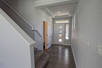 4144 Elegant St in Castle Rock, CO - Foto de edificio - Building Photo