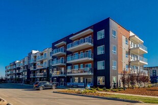 550 Belmont St SW in Calgary, AB - Building Photo