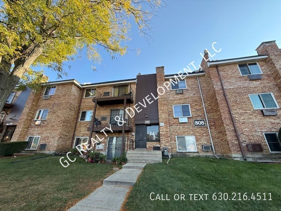 808 College Blvd in Addison, IL - Building Photo