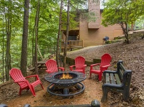 363 Palisade Dr in Ellijay, GA - Building Photo - Building Photo