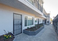 1754 Pine St in Long Beach, CA - Foto de edificio - Building Photo