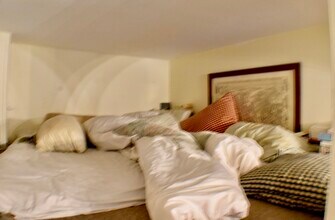 53 E Springfield St, Unit 2 in Boston, MA - Building Photo - Building Photo