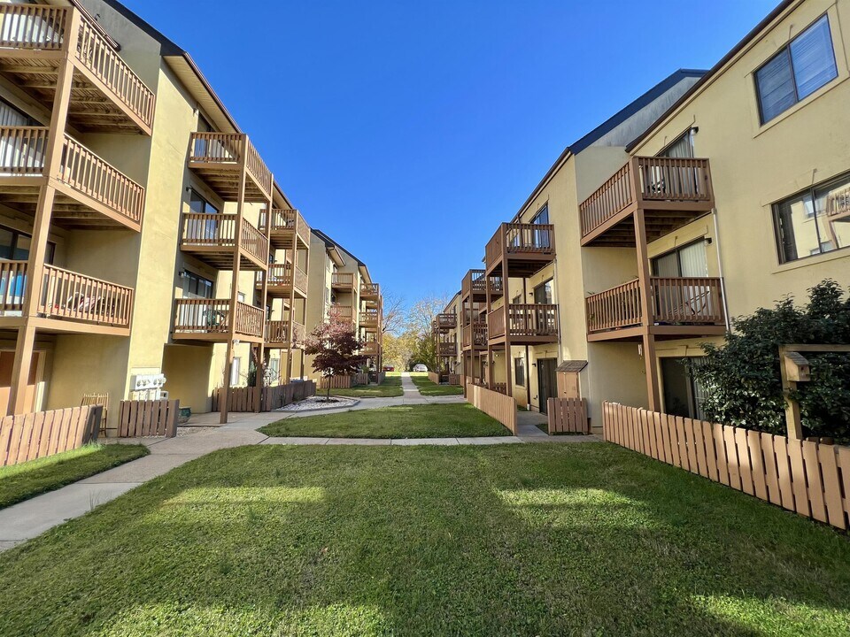 1002 Linden Ave in Charlottesville, VA - Building Photo