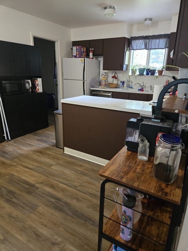 1708 Larch St in Fort Collins, CO - Building Photo - Building Photo
