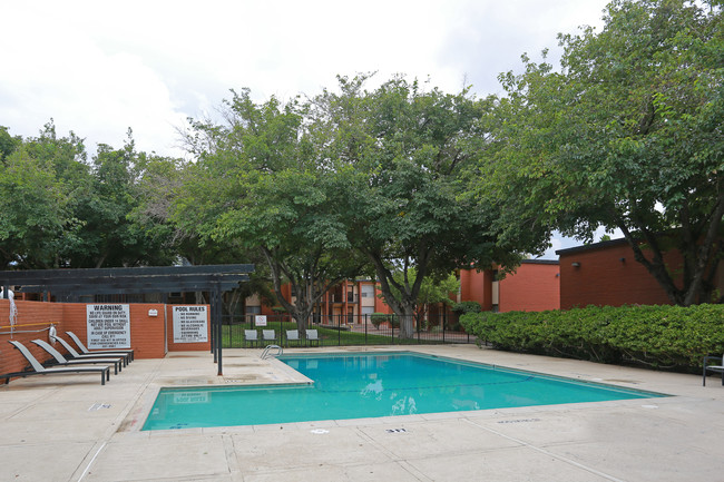 Vista Village Apartments in El Paso, TX - Building Photo - Building Photo