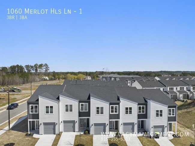 1060 Merlot Hills Ln. in Durham, NC - Building Photo - Building Photo