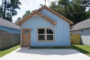 9761 Black Gum in Willis, TX - Building Photo