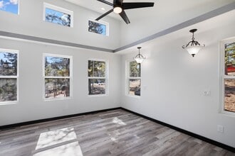 69 Mt Powderhorn Rd in Florissant, CO - Building Photo - Building Photo