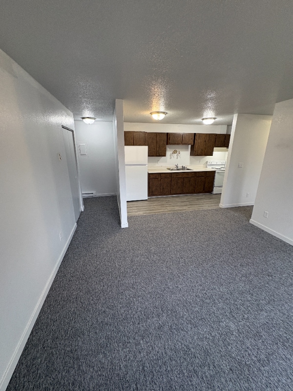 306 S 2nd St, Unit 1 in Beaver Creek, MN - Building Photo - Building Photo