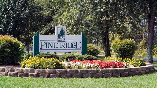 Pine Ridge