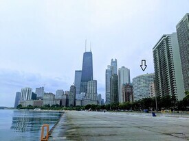1150 N Lake Shore Dr, Unit APT 14J in Chicago, IL - Building Photo