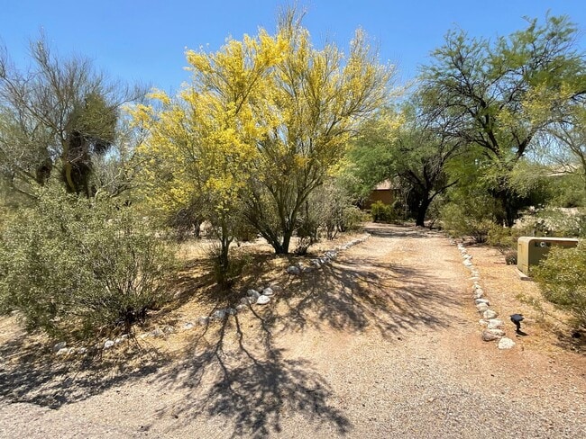 7821 N Leonardo Da Vinci Way in Tucson, AZ - Building Photo - Building Photo