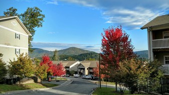 The Village of Meadowview Apartments