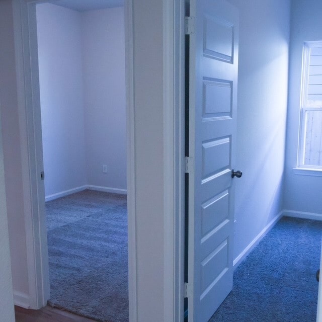 3338 Brushy Marsh Dr