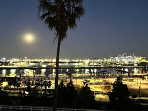 1131 S Beacon St in Los Angeles, CA - Building Photo - Building Photo