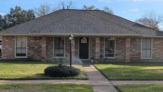 21355 Park Tree Ln in Katy, TX - Building Photo