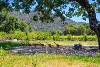321 Dutch Henry Canyon Rd in Calistoga, CA - Building Photo - Building Photo