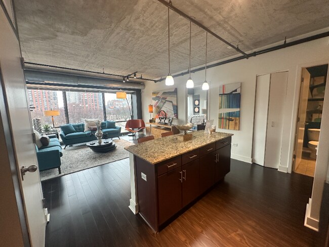 978 S Clark St-Unit -2 in Chicago, IL - Building Photo - Building Photo