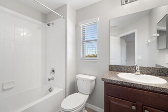 7678 Ginger Lily Ct in Tampa, FL - Building Photo - Building Photo