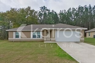 338 Malauka Loop in Ocklawaha, FL - Building Photo