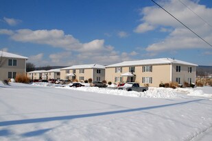 221-223 Hoover St in Old Forge, PA - Building Photo